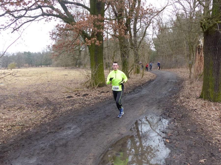 Luckenwalder Crosslauf 2017